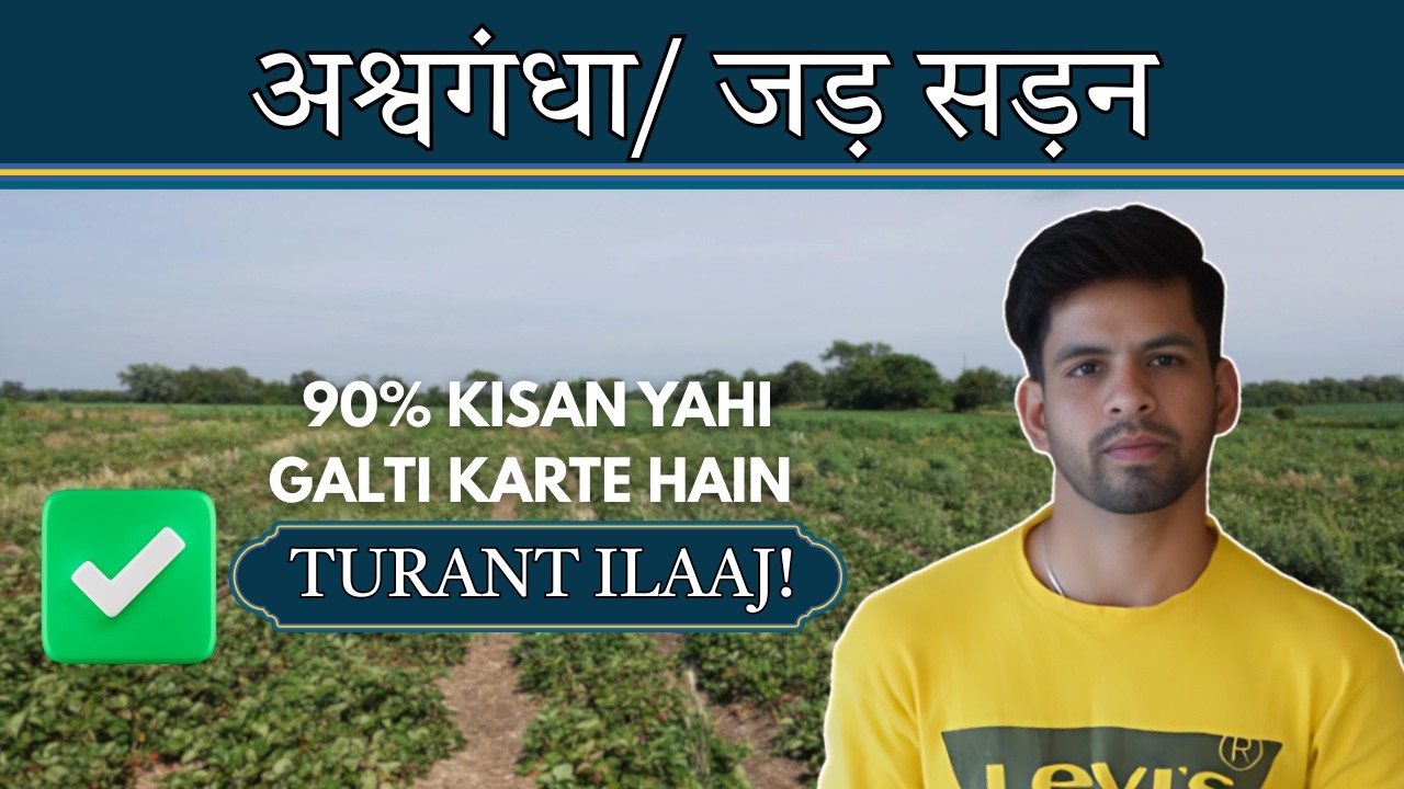 Ashwagandha Ki Jad Sad Rahi Hai? Ye Galtiyan Mat Karo | Root Rot Problem & Solution in Hindi 2026