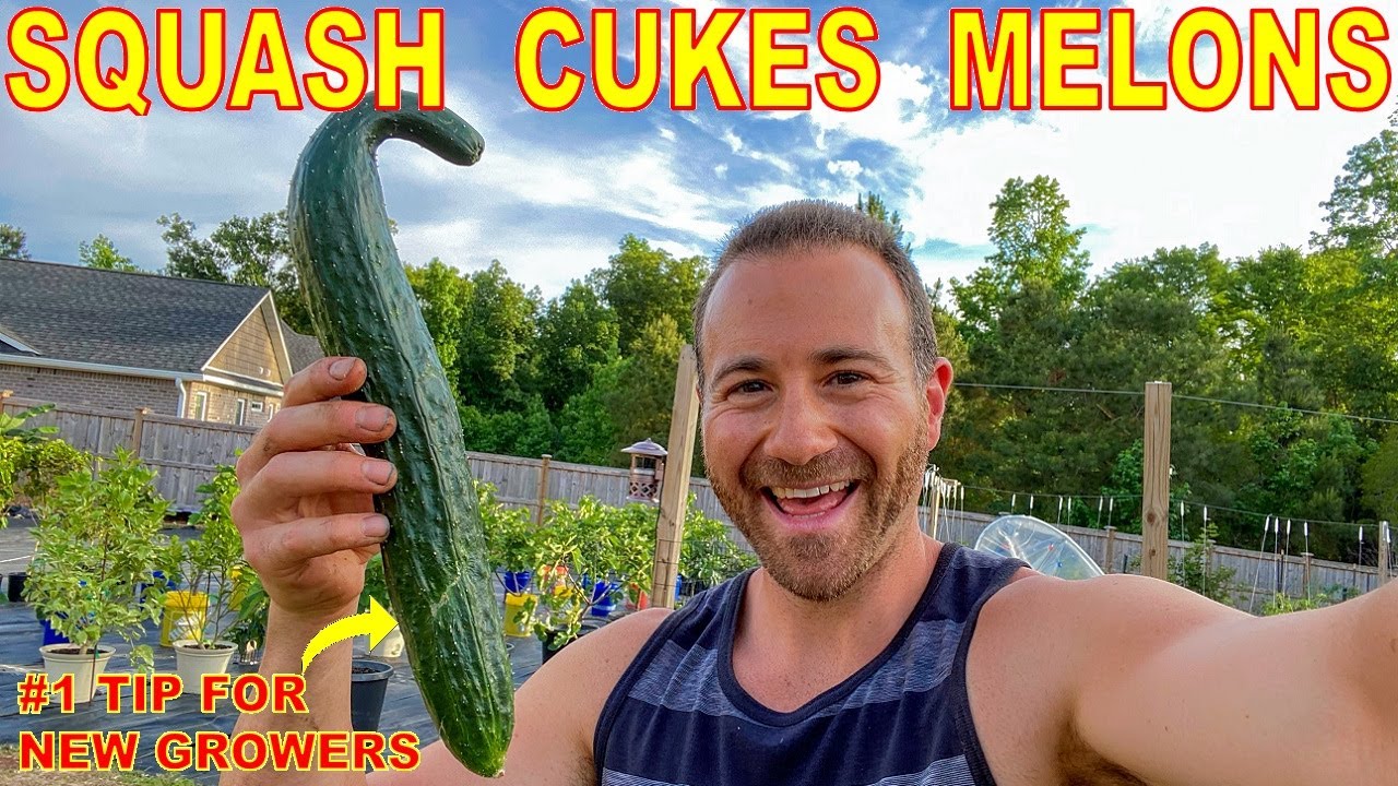 Don't Plant SQUASH, CUCUMBER and WATERMELON Before Watching This!