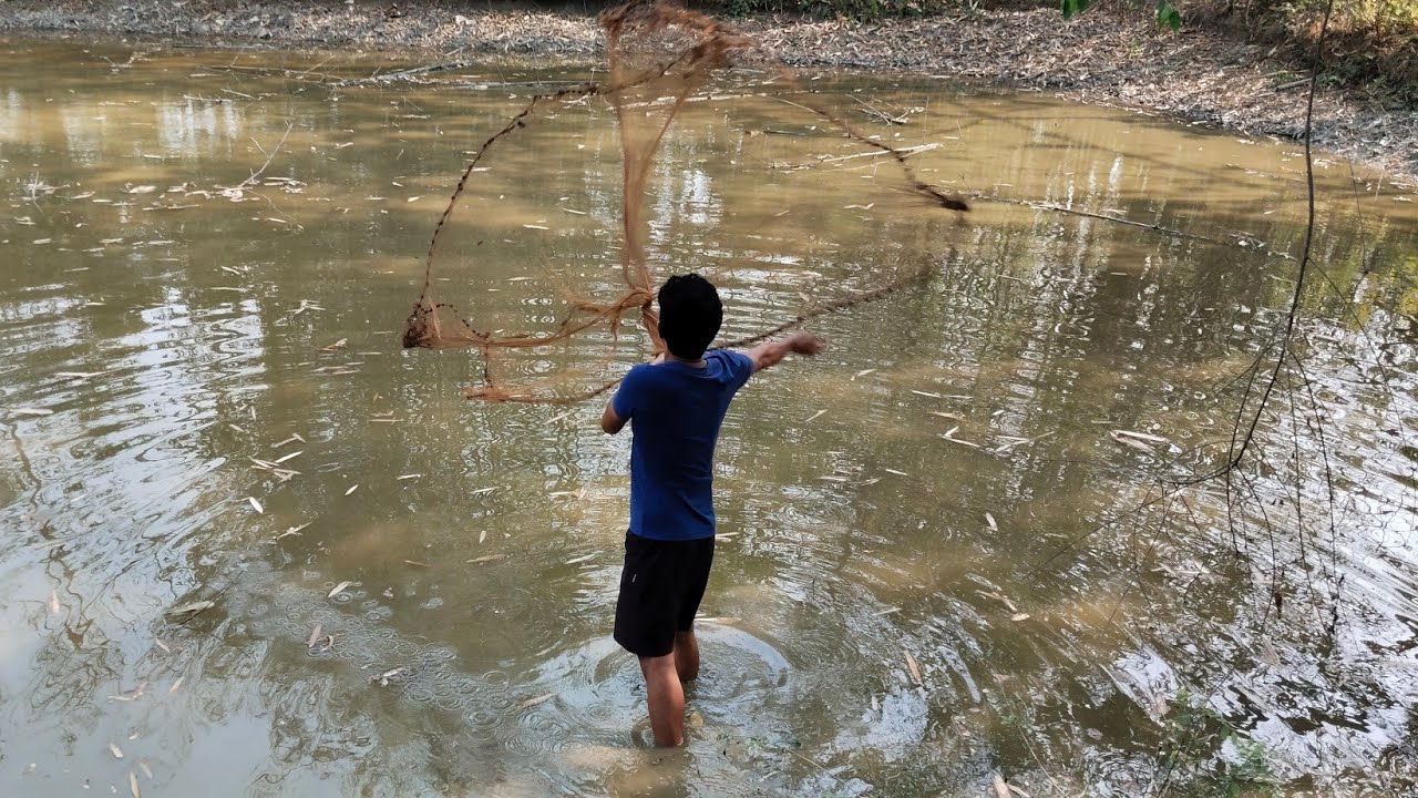 Amazing Net Fishing In Village Pond | Best Fishing Video | Traditional Fishing Method | Rural Life