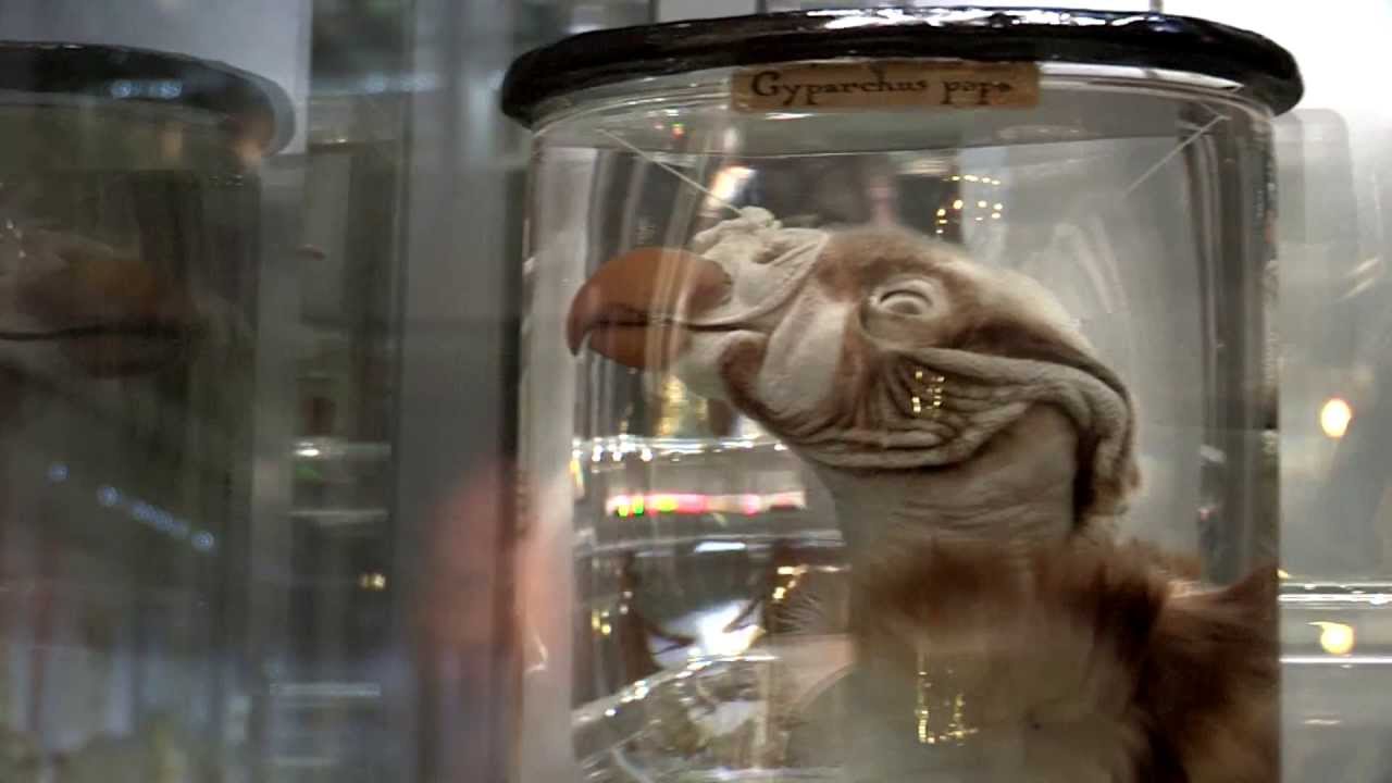 Hunterian Museum Bicentenary - with subtitles