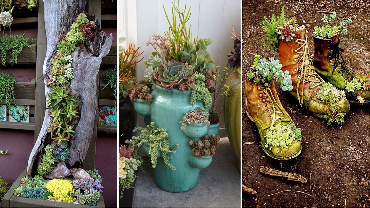 35+ Ways Of Creating An Enchanted Succulent Garden In Your Backyard | DIY Gardening