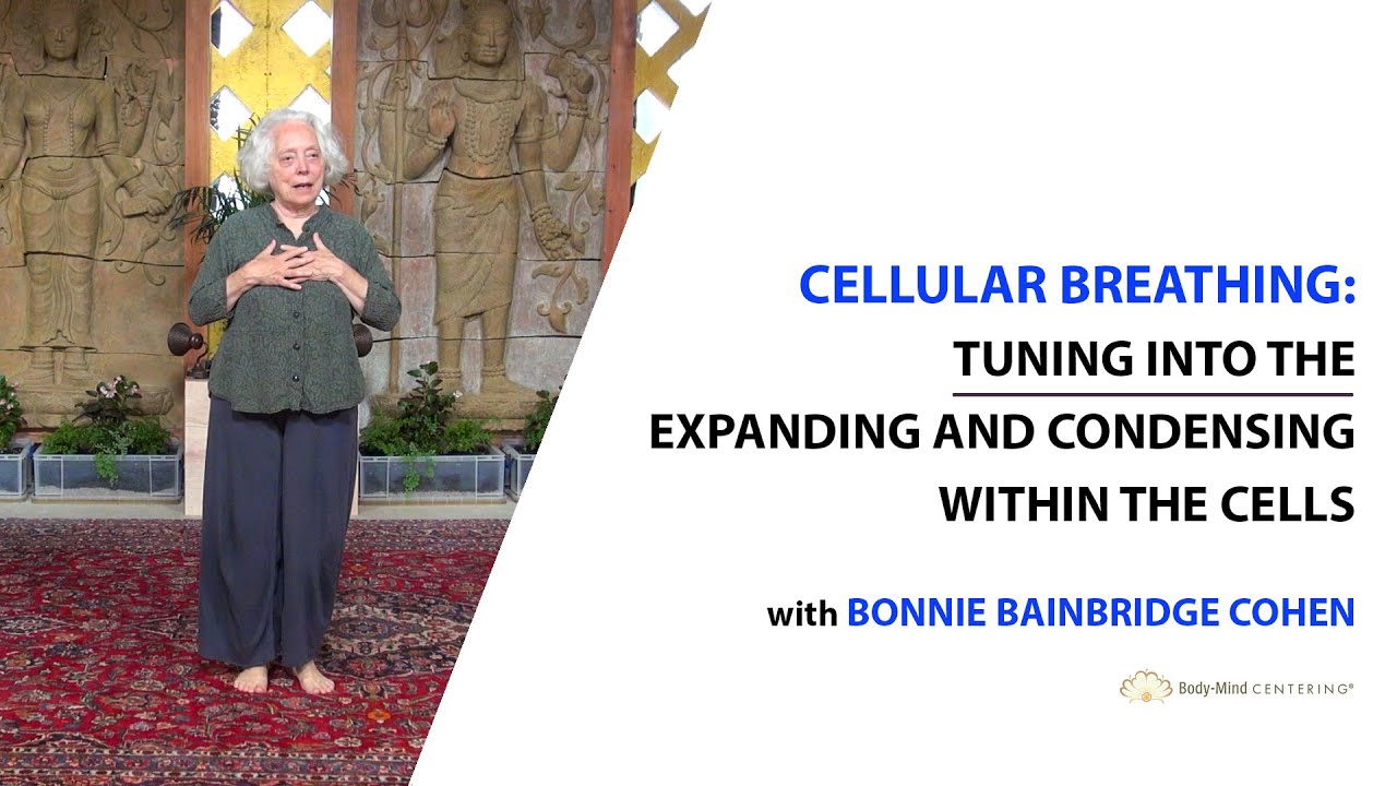 Cellular Breathing – Tuning into the Expanding and Condensing within the Cells / Self and Other