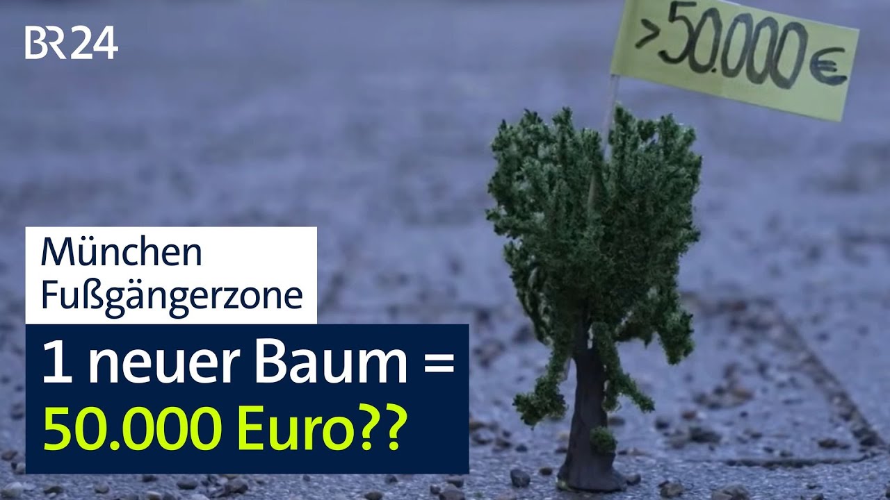 München: Klimaschutz mit überteuerten Bäumen? | Abendschau | BR24