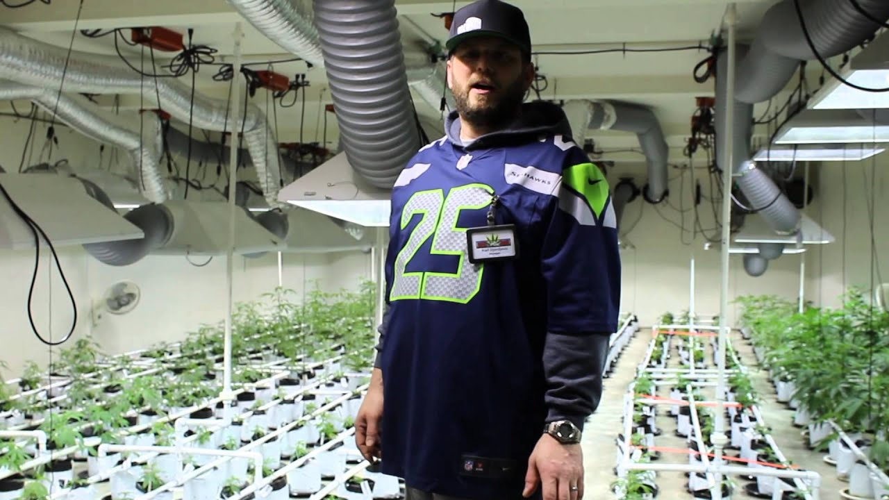 Video Tour Of Hazy Daze Farm