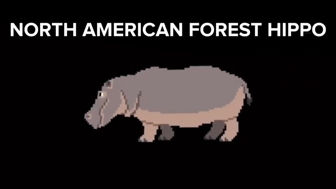 Elephants, rhinos and hippos - @TheKidsPictureShow 