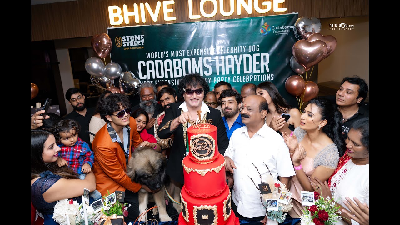 20 CRORES DOG'S BIRTHDAY CELEBRATION CADABOMS HAYDER | WORLD'S MOST EXPENSIVE CELEBRITY DOG
