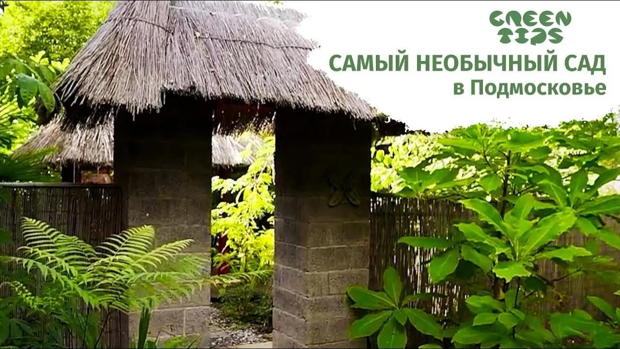 Самый необычный сад в Подмосковье. Обзор сада