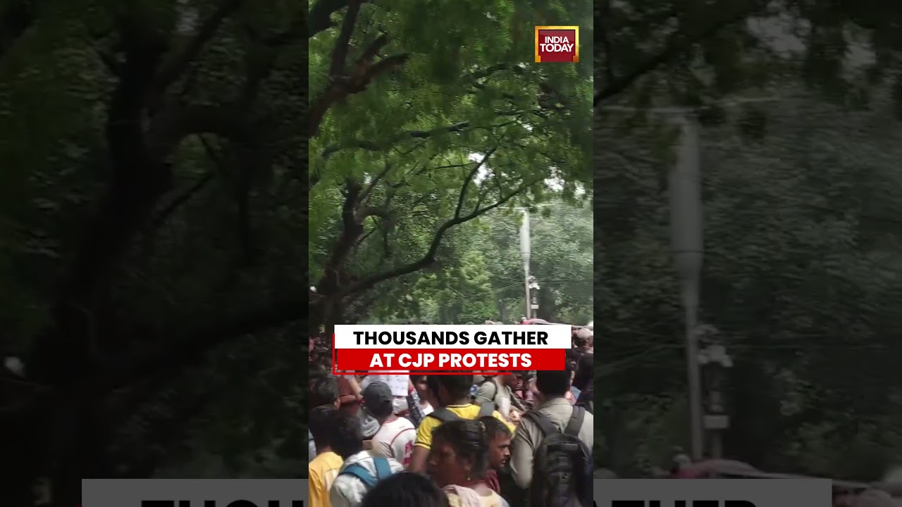 Thousands Join CJP Protest in Delhi #cjpprotest #protest #cjp #delhinews