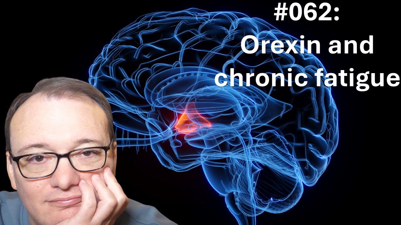 062 - Orexin and chronic fatigue
