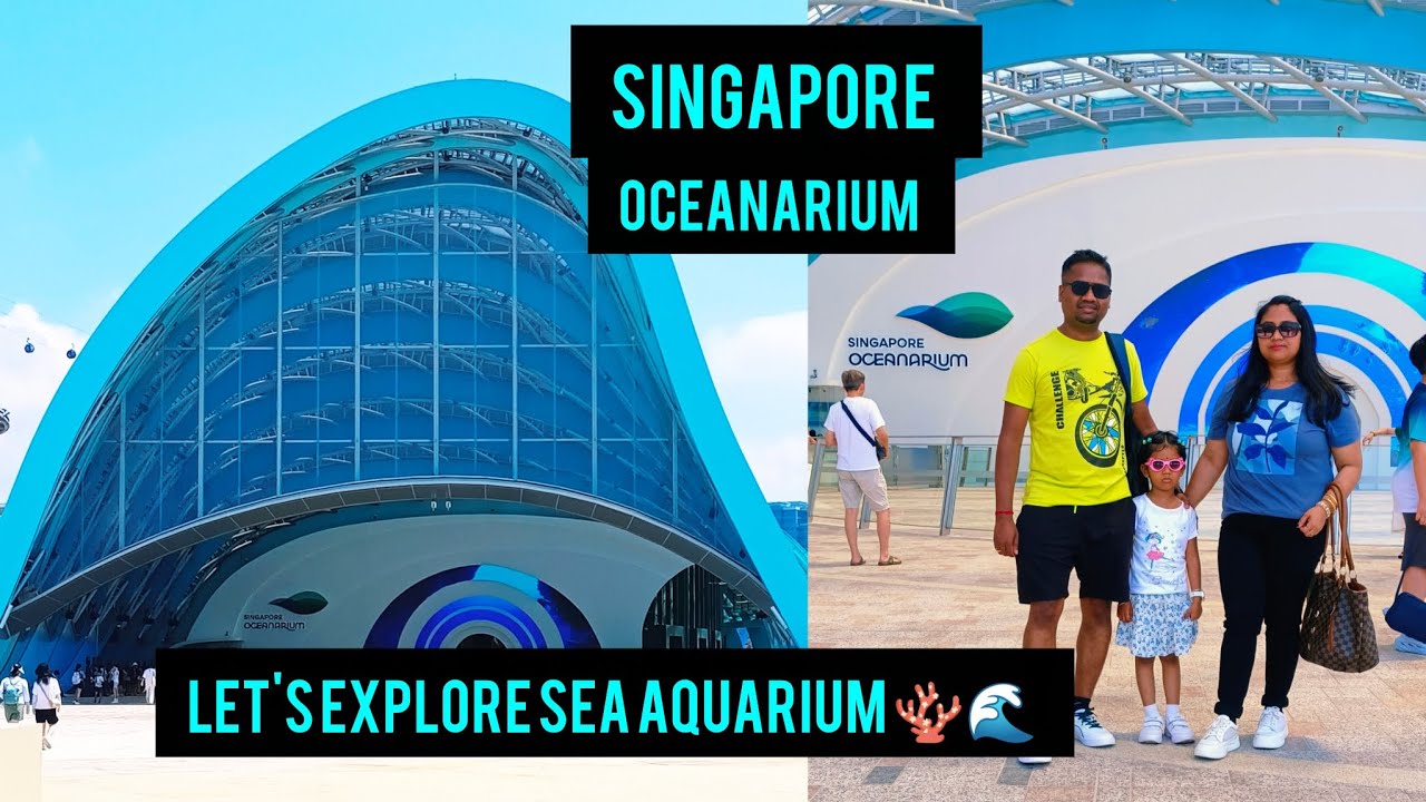 singapore oceanarium 4k | sea aquarium singapore 4k full experience #singapore #aquarium #youtube