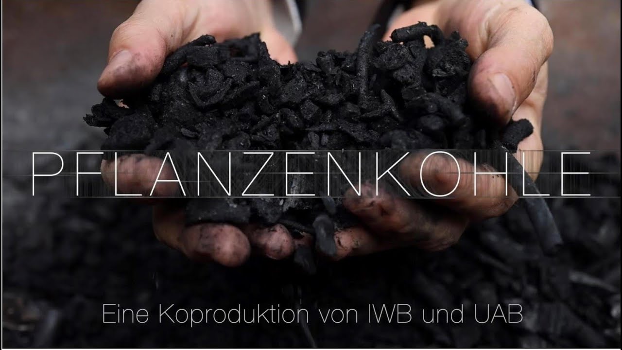 Pflanzenkohle und ihre Herkunft & Wirkung - Eine Koproduktion von IWB und UAB