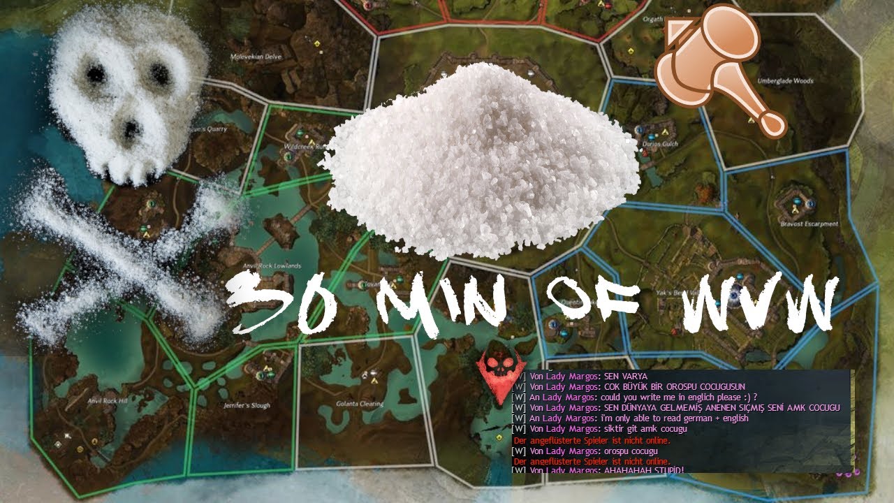 TOXIC - A Day Roaming - 30 Minutes of WvW - Berserker Scrapper