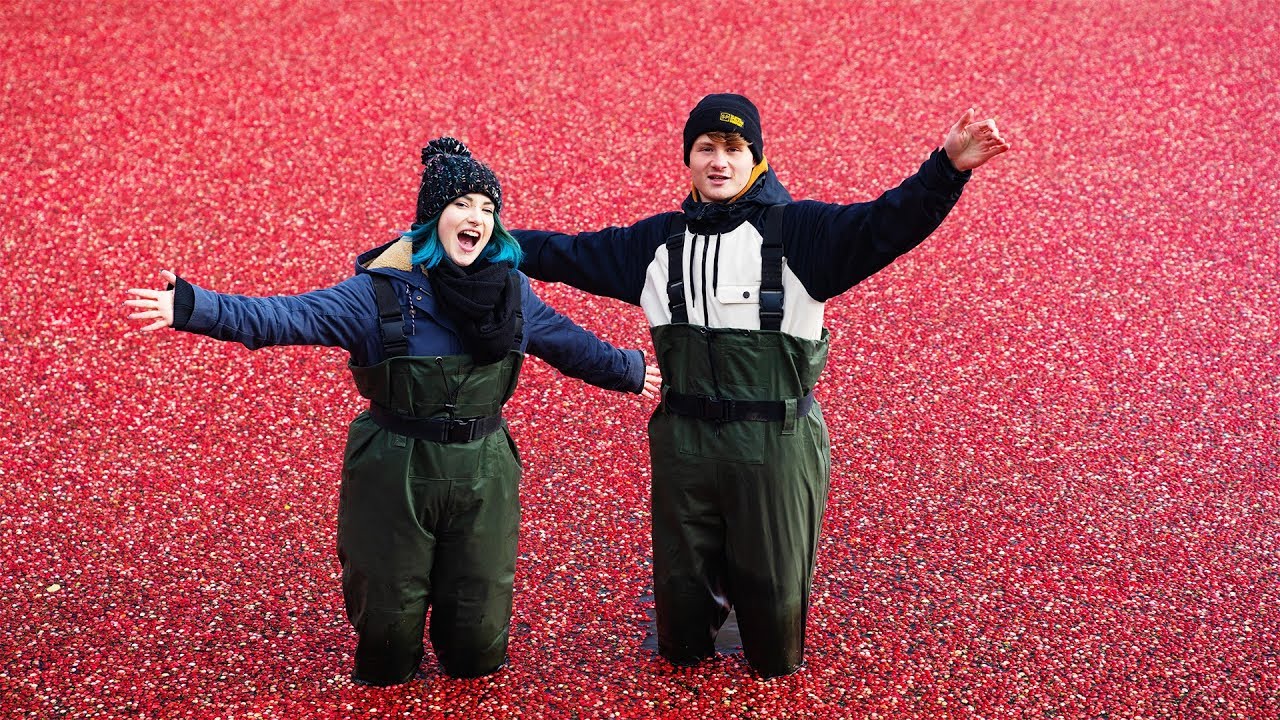 Baden in 1 Million Cranberries
