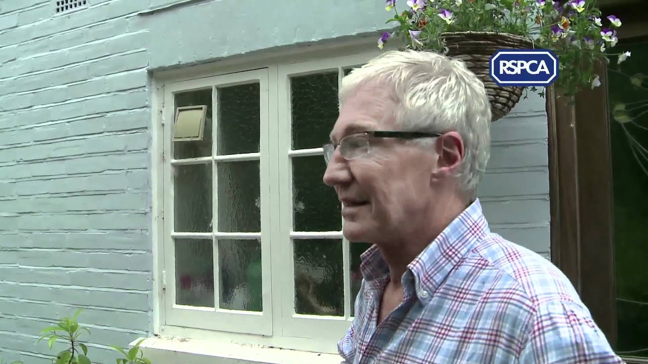 Paul O'Grady Adopts RSPCA Lamb Winston
