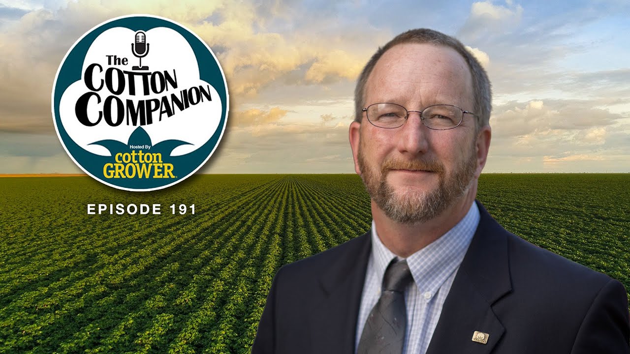 What's New in Cotton's Ag Tech Pipeline?