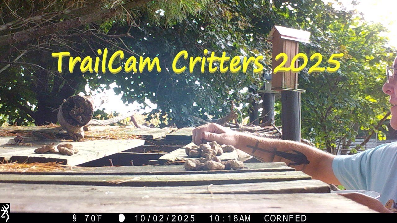 TrailCam Critters 2025