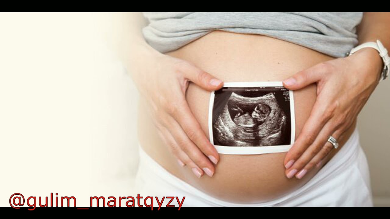 Жүктілік күнтізбесі 26 апта//календарь беременности 26 неделя
