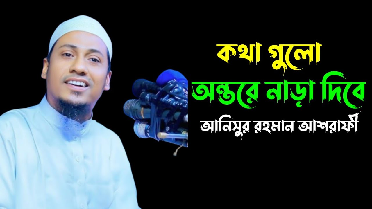 কথা গুলো অন্তেরে নাড়া দিবে,আনিসুর রহমান আশরাফী, Anisur Rahman ashrafi 