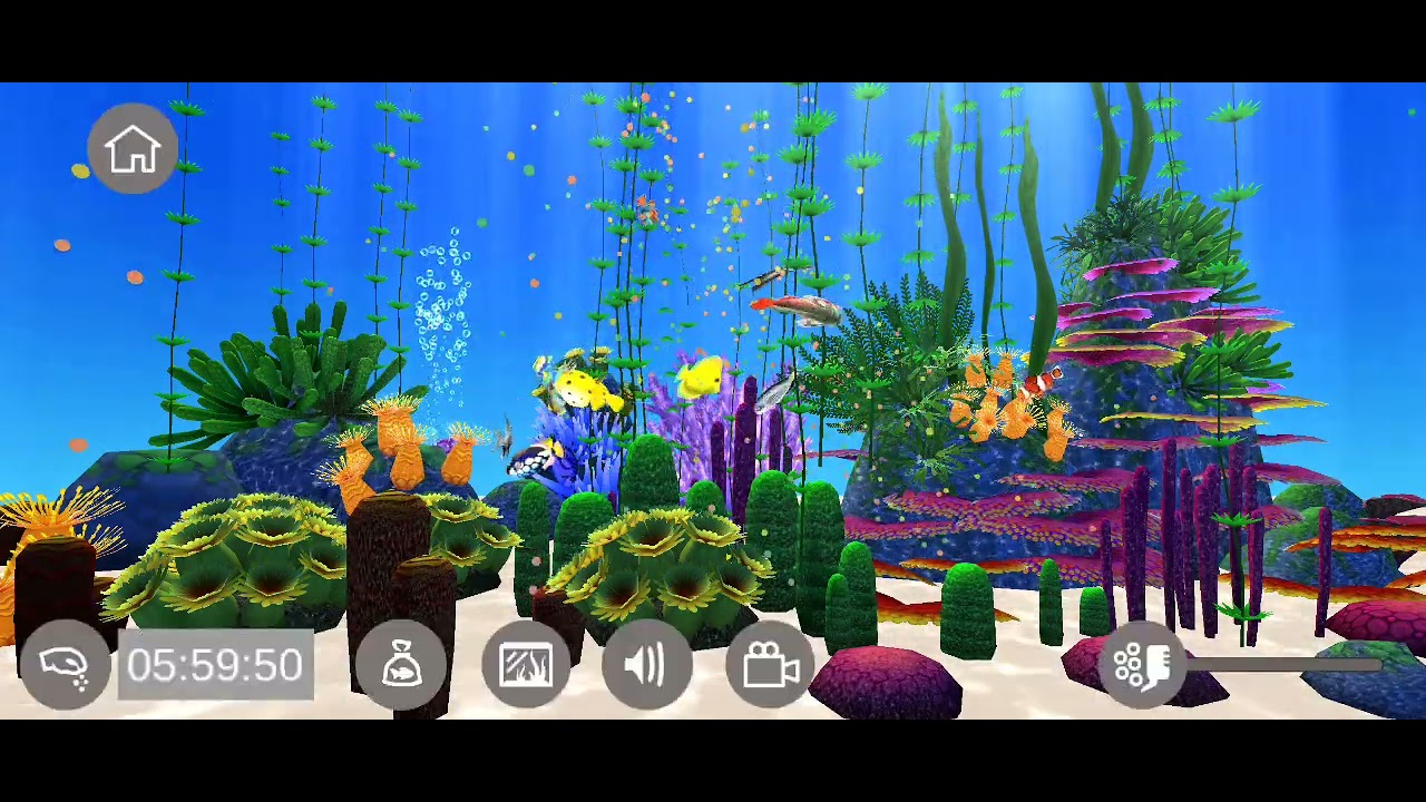 Aquarium sim, Прохождение. 