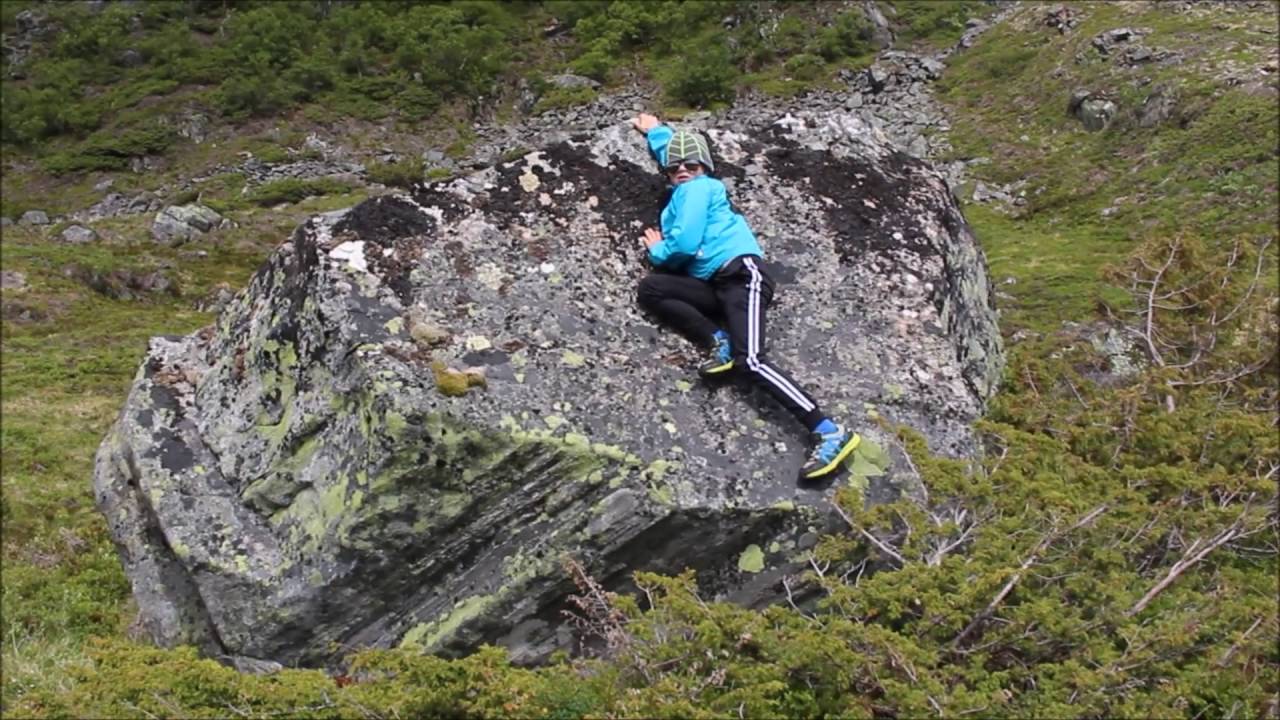 Fløystadfjellet Krokvatnet Aurestæpet Salvatnet 03 07 16