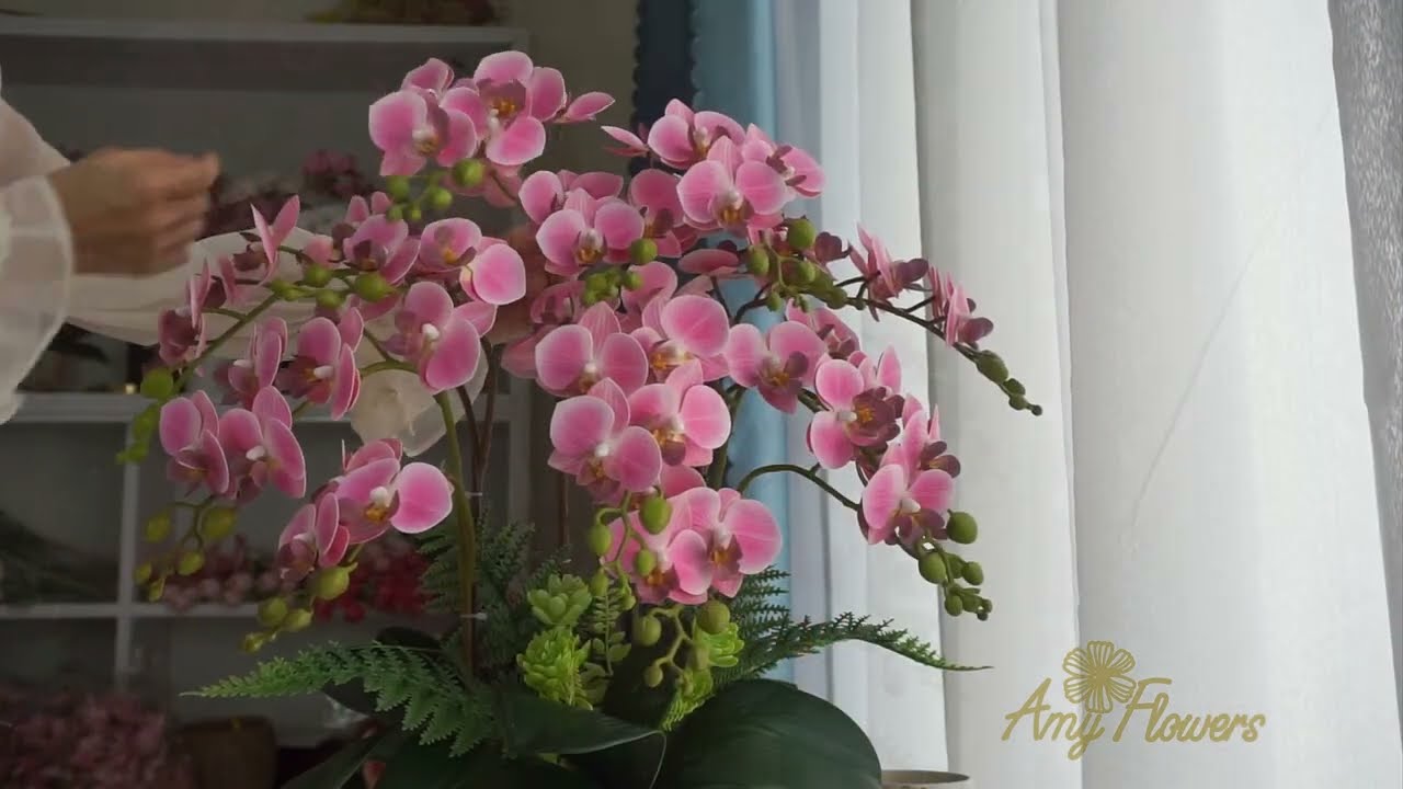 Ch&acirc;ụ Hoa Lan Giả Trang Tr&iacute; Nh&agrave; Cửa