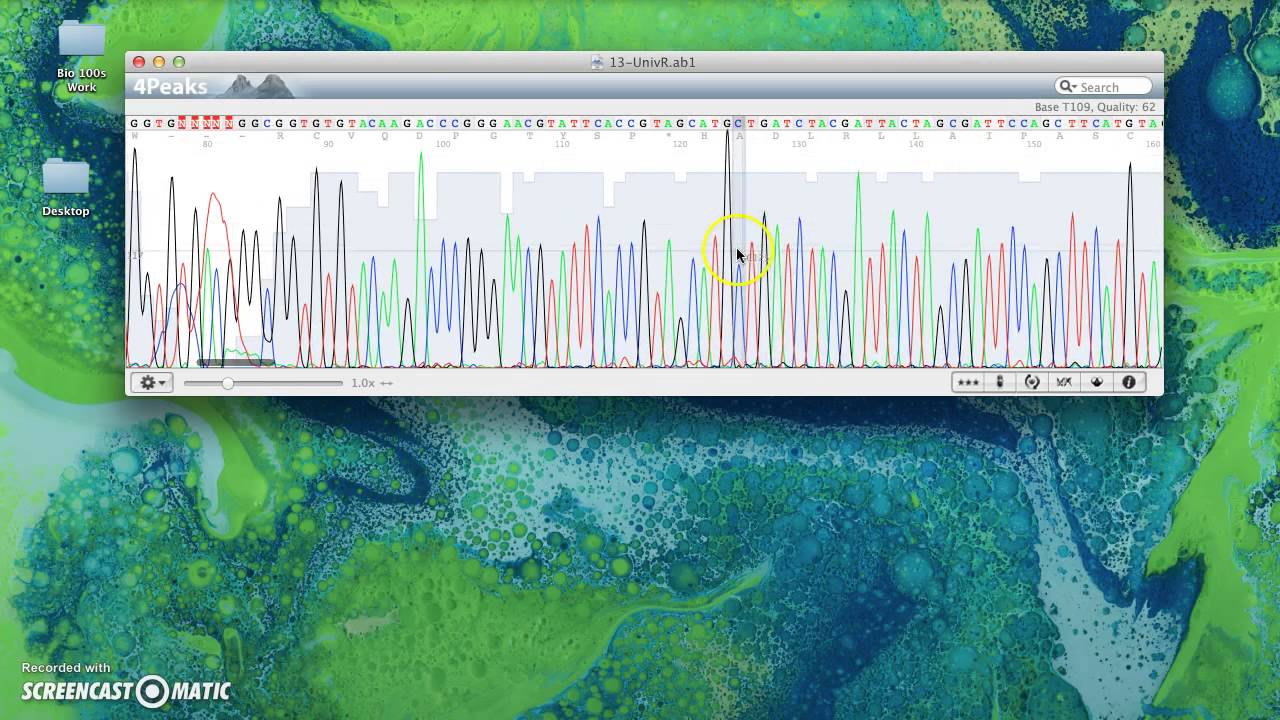 Chromatogram