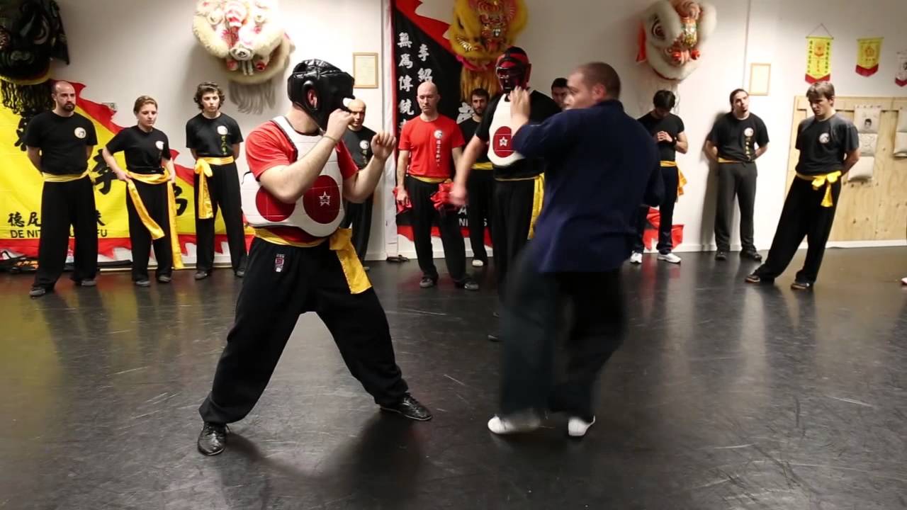 Choy Lay Fut - Fighting Techniques (蔡李佛 - 德 尼 蒂  斯 功夫 ) Part 2