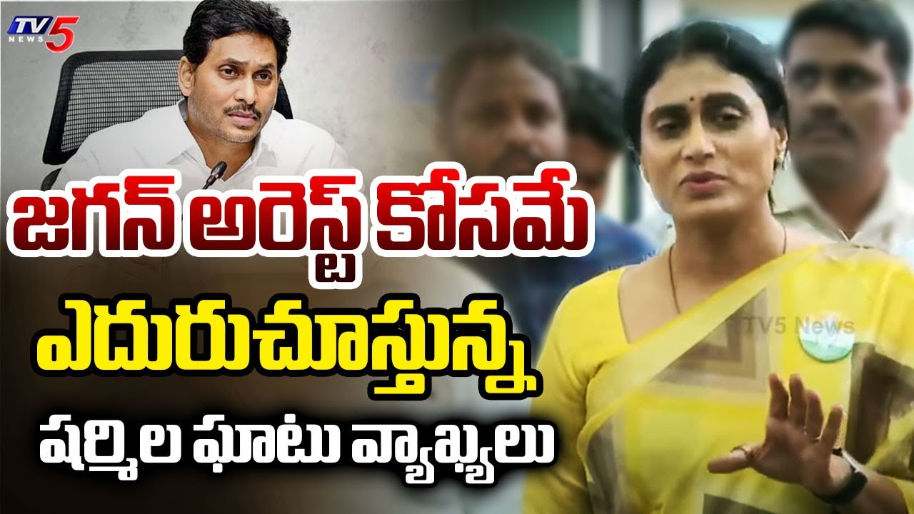 వెయిటింగ్.. | YS Sharmila SHOCKING Comments on AP Liquor Scam Case | YS Jagan Arrest ? | TV5 News