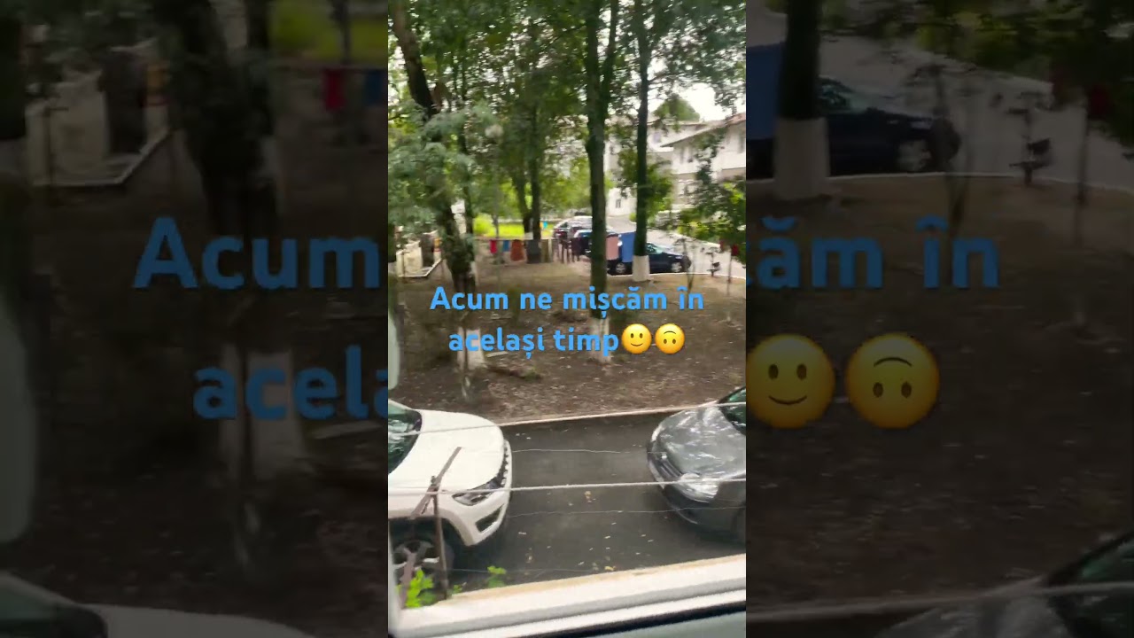 Mișcă și tu cu mn