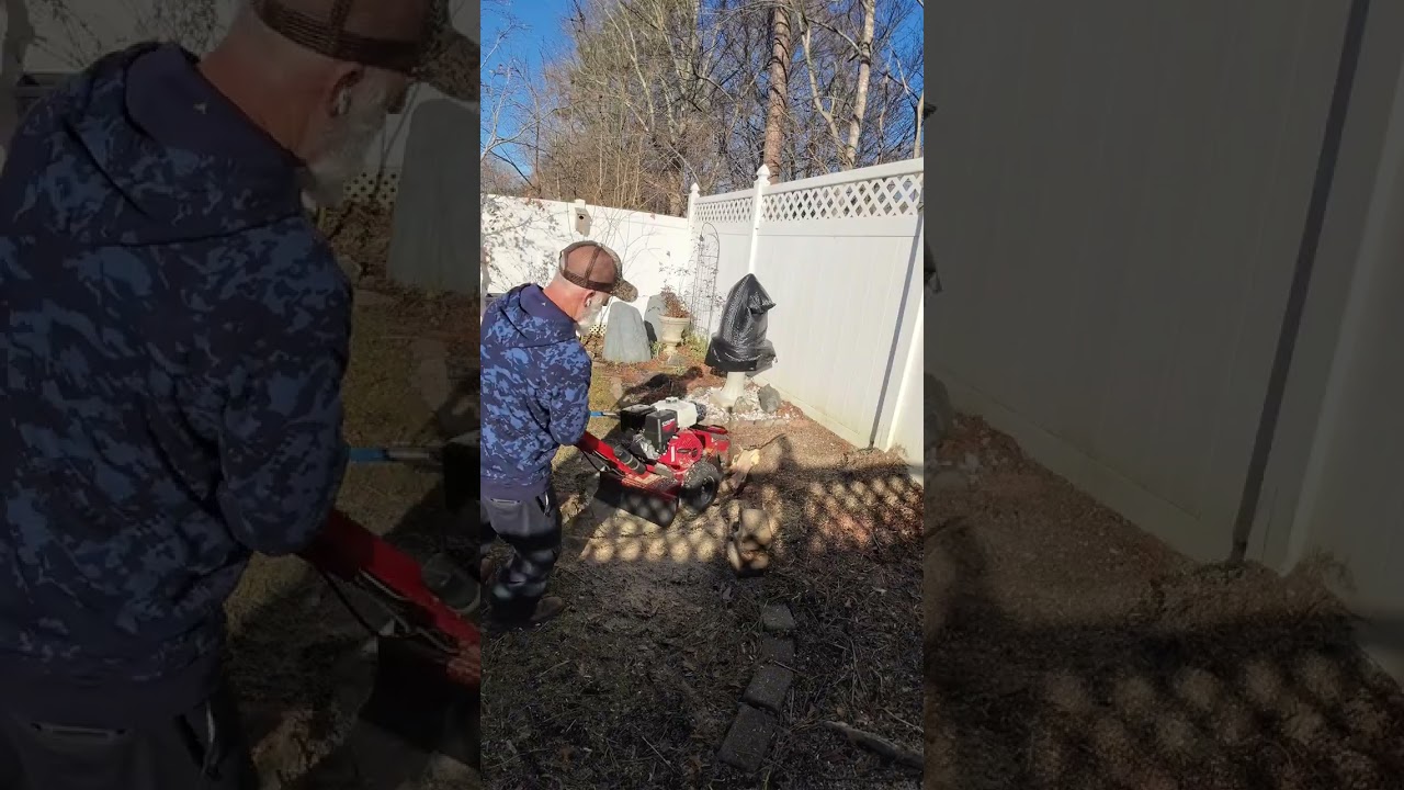 Using a rental size stump grinder Toro sgr-13 to fit in this small back yard. 4hr job. 
