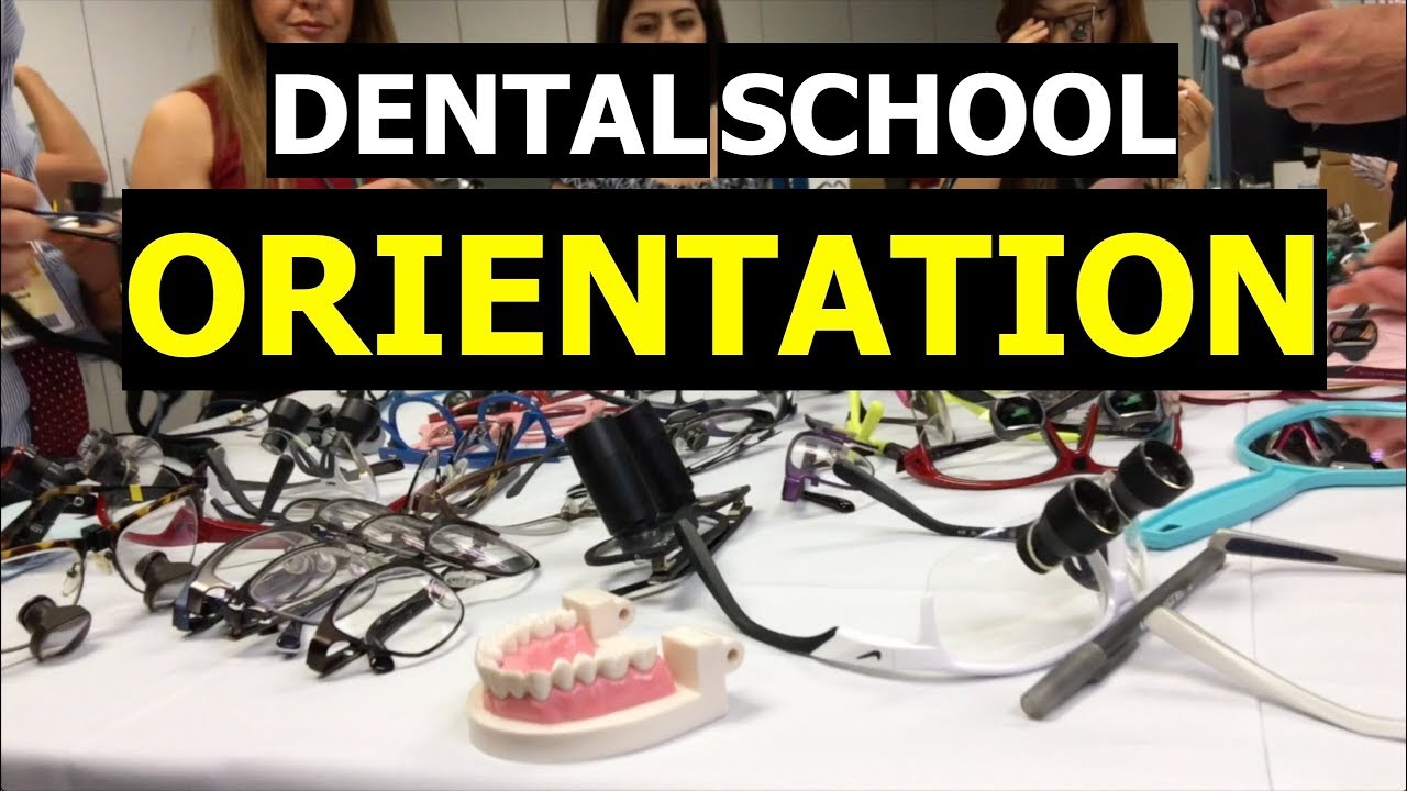 Dental School Vlog -  Orientation Week!