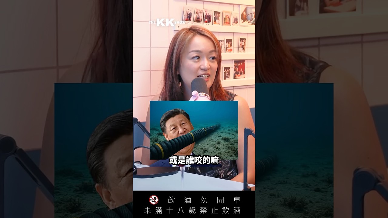 海底電纜到底是什麼？ ft.台哥大總經理 Jamie #國際 #網路 #外交