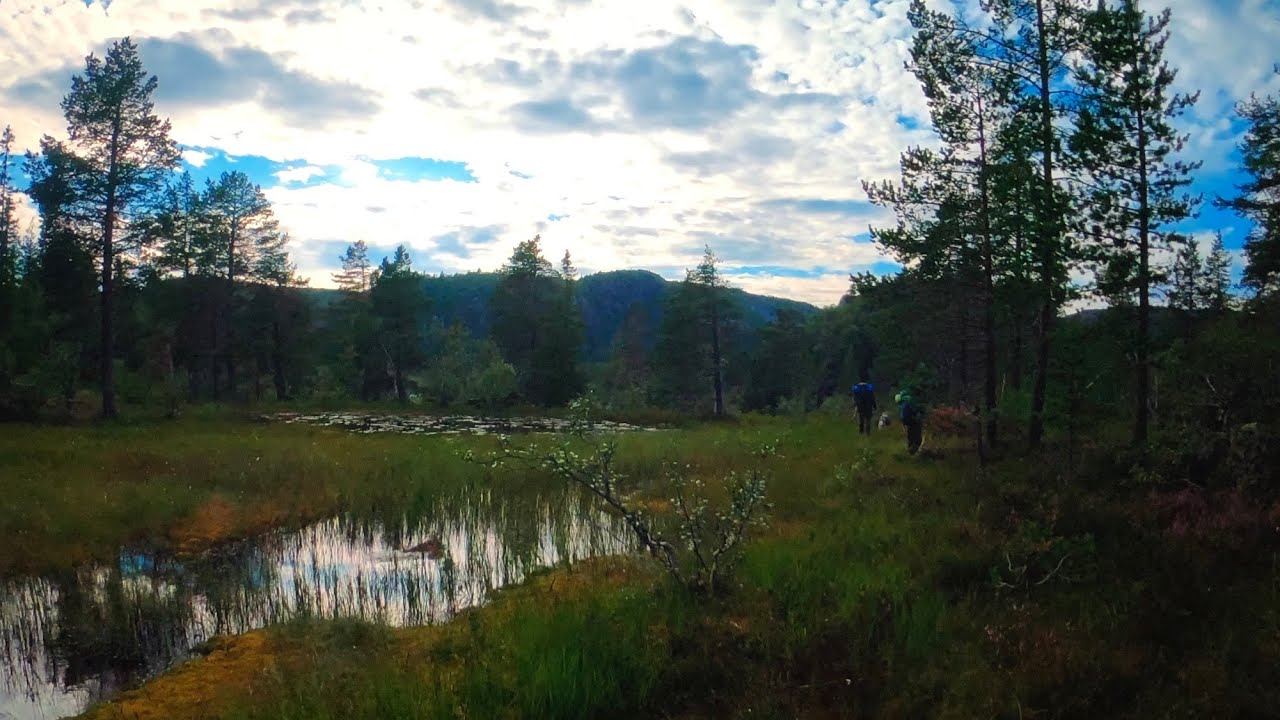 Norway 🇳🇴 Part 1/4 Hiking in the mountains ⛰ Most beautiful area 🤩 Austheiene in Agder County ☀️