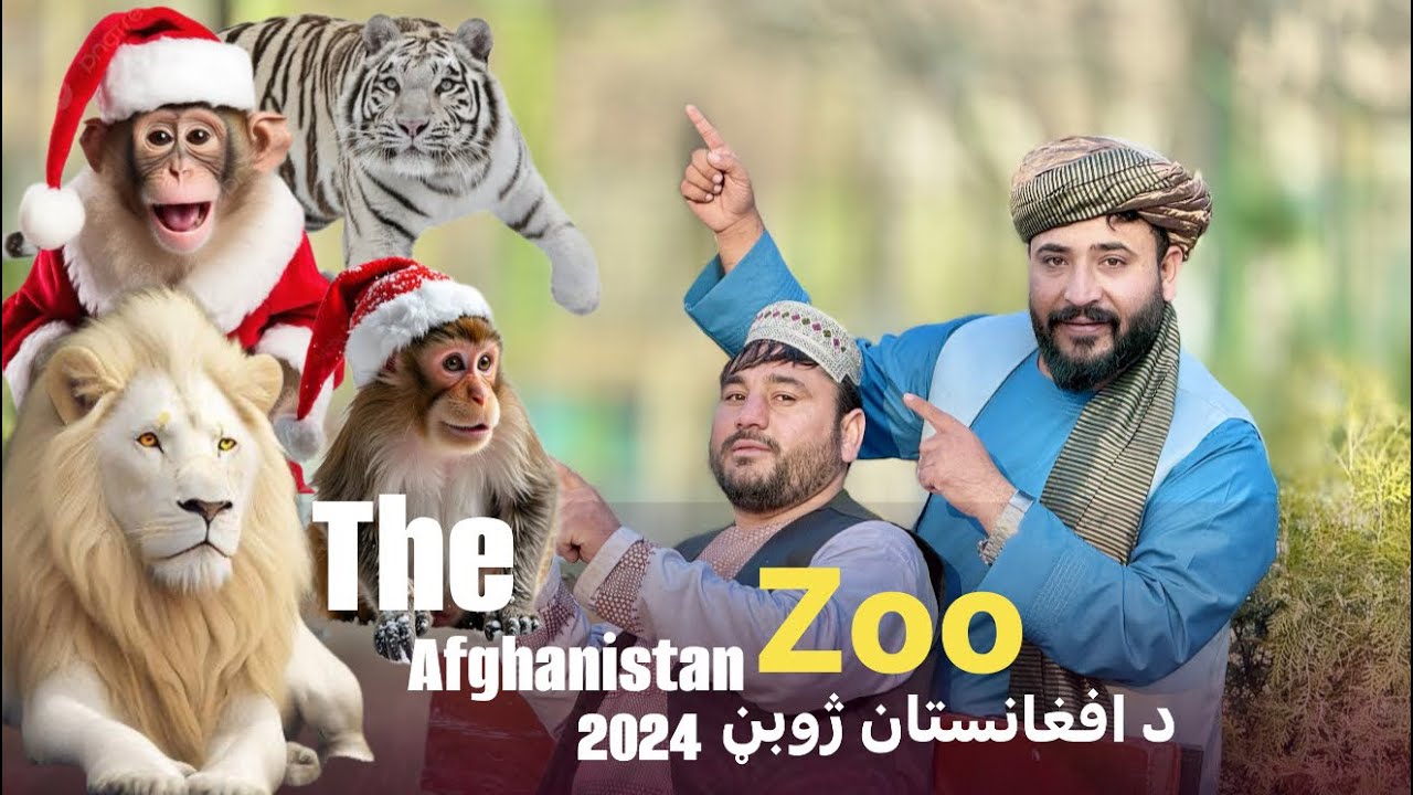 Ep281 | Menafal Show | The Afghanistan Zoo 🦁🐒 | دافغانستان ژوبڼ یا باغ وحش | ماما او خورئی خپرونه .