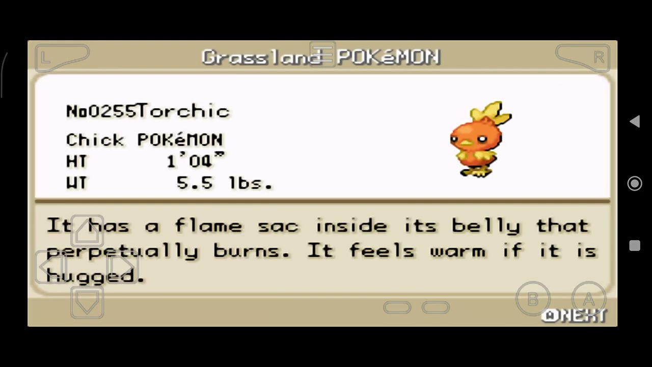 Pokémon MegaRed Version #12 Luta com Cynthia e chegamos nova cidade de fuchsia
