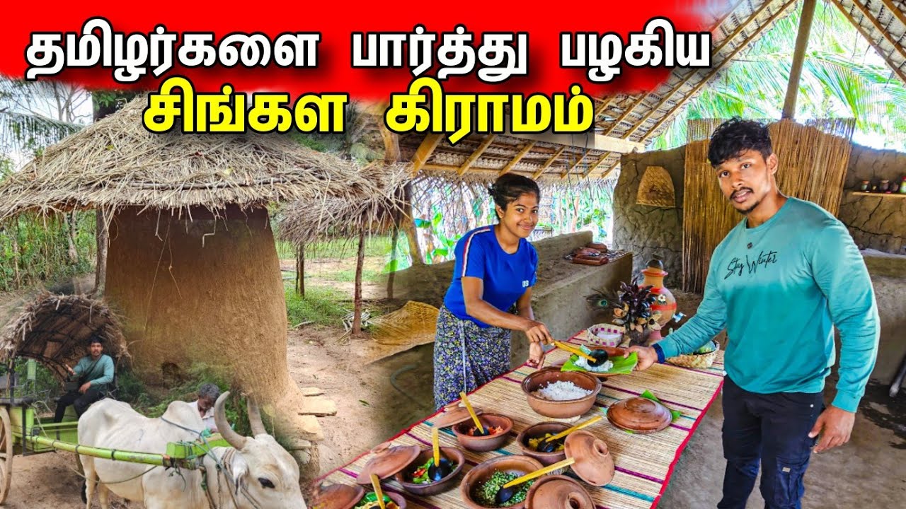 தமிழர்கள் மறந்ததை பின்பற்றும் சிங்கள கிராமம் 😱 /  We Didn't Expect / Tamil Bros
