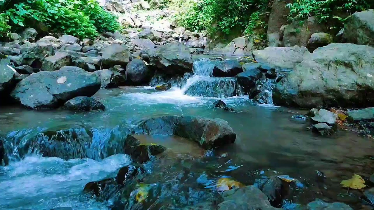 Relaxing River Sounds - Peaceful Forest River - 11 Hours Long - HD 1080p - Nature Video