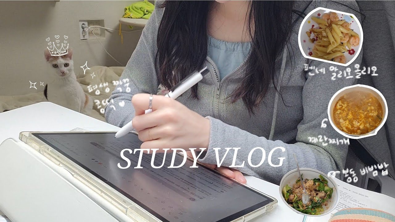 9급 떨어지고 7급 준비하는 공시생 VLOG  • 집밥 브이로그