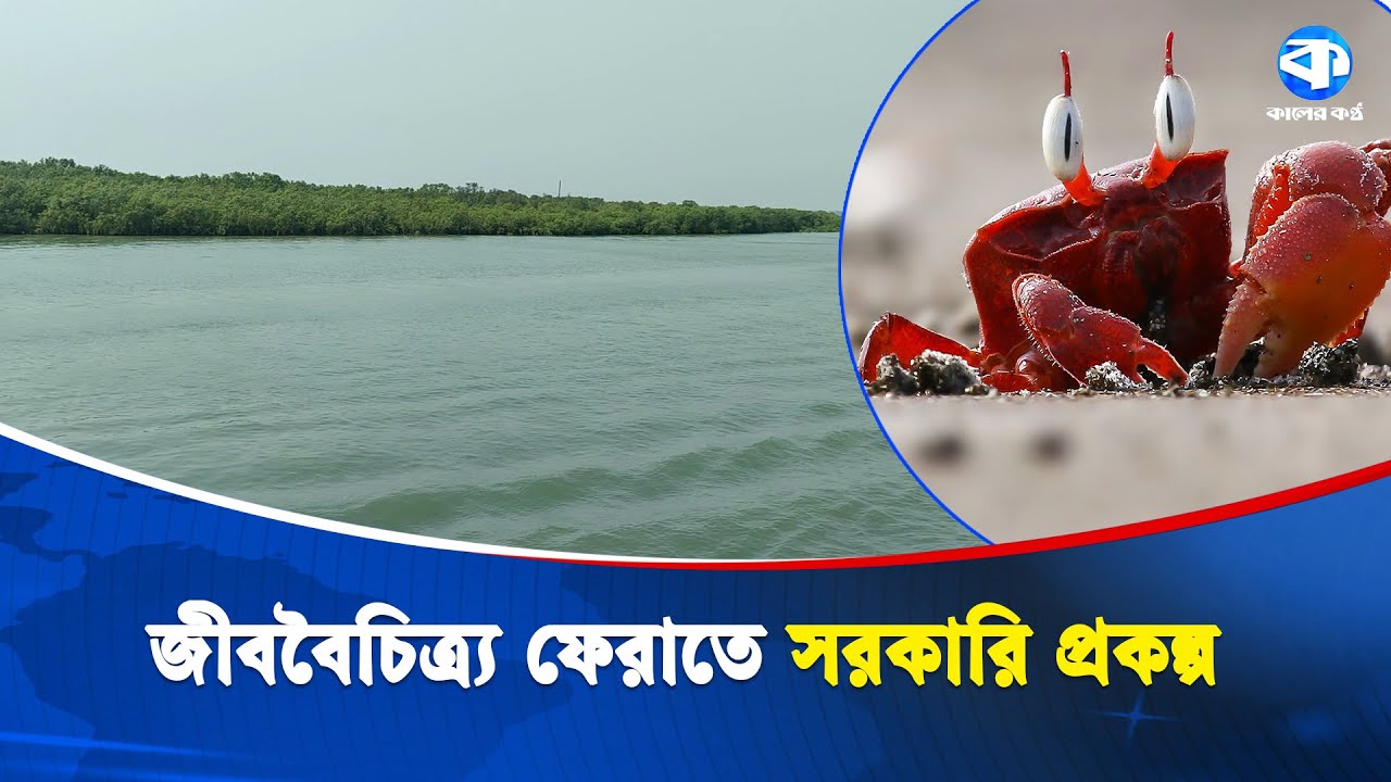 সোনাদিয়া দ্বীপের জীববৈচিত্র পুনরুদ্ধারে সরকারি বরাদ্দ | Sonadia Island | Kaler Kantho