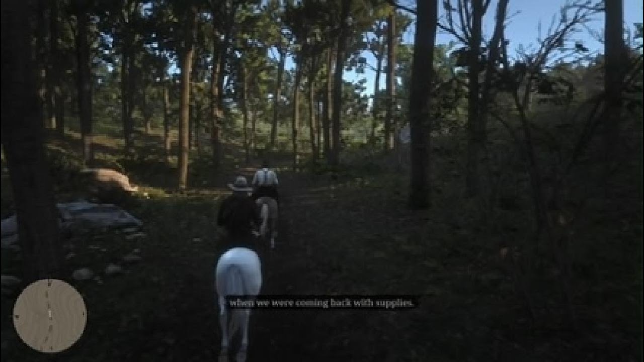 RDR2 GAMEPLAY 41