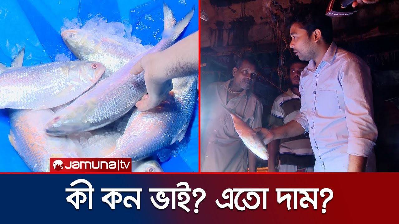 'ইলিশ খাওয়ার মতো টাকা গরিবের নাই, স্বর্ণের দাম হয়ে গেছে' | Investigation 360 | Ilish | Jamuna TV