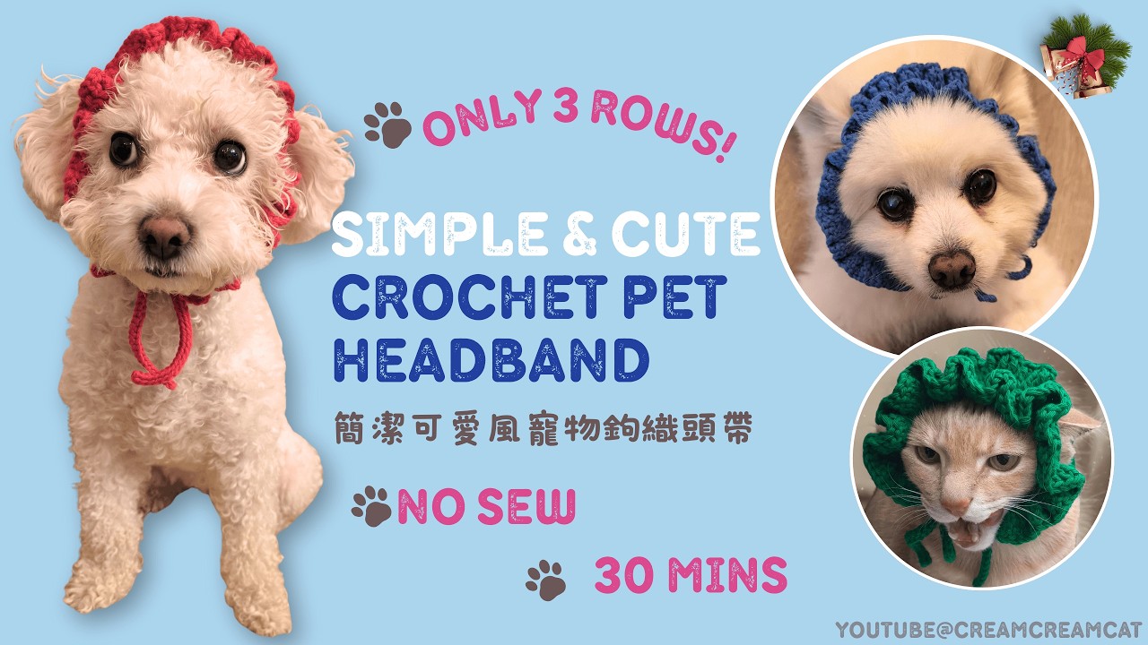 30-Min NO-SEW Crochet Pet Headband (Only 3 Rows!) 🧶 | 只需 3 行！無縫寵物頭帶鉤織教學｜30 分鐘完成