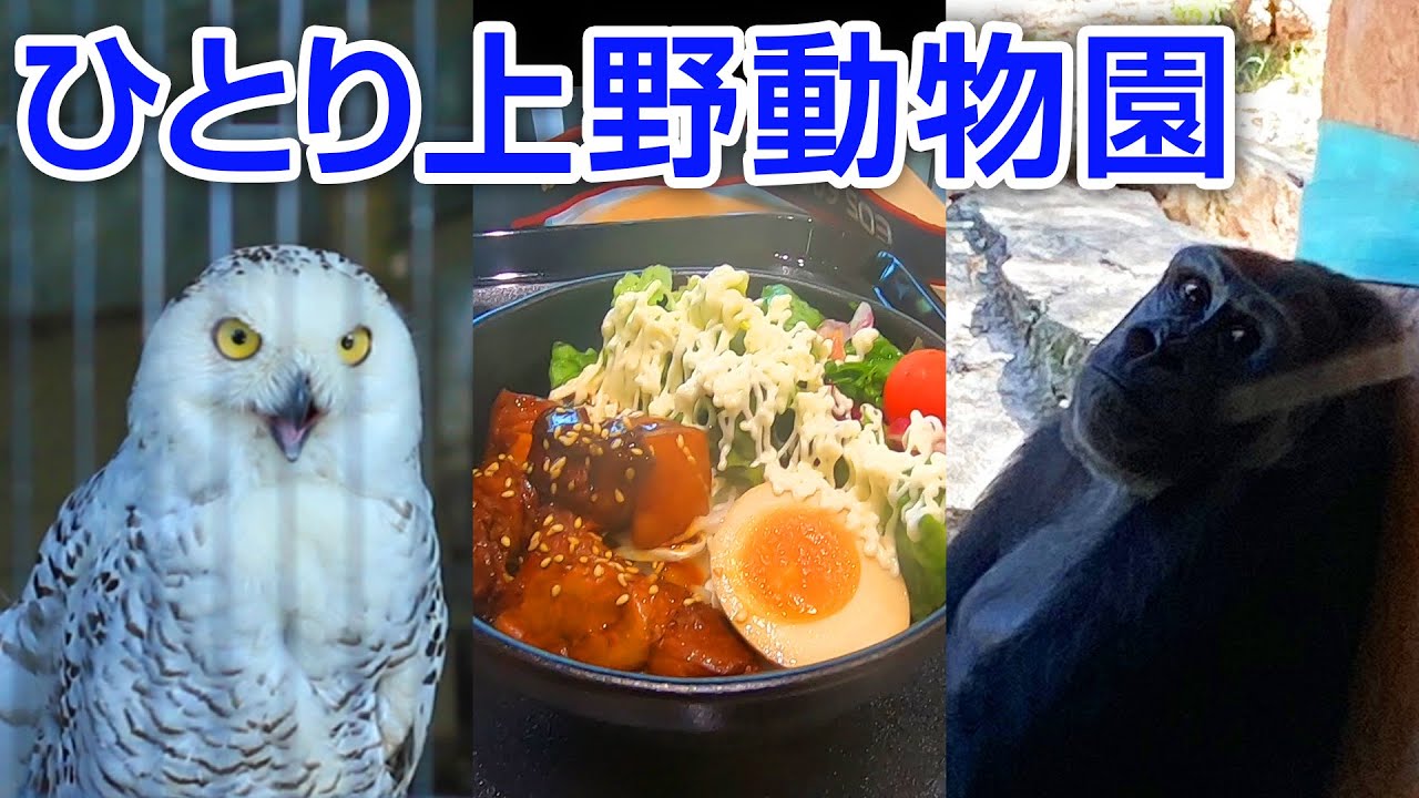 ひとり上野動物園を満喫（前編）