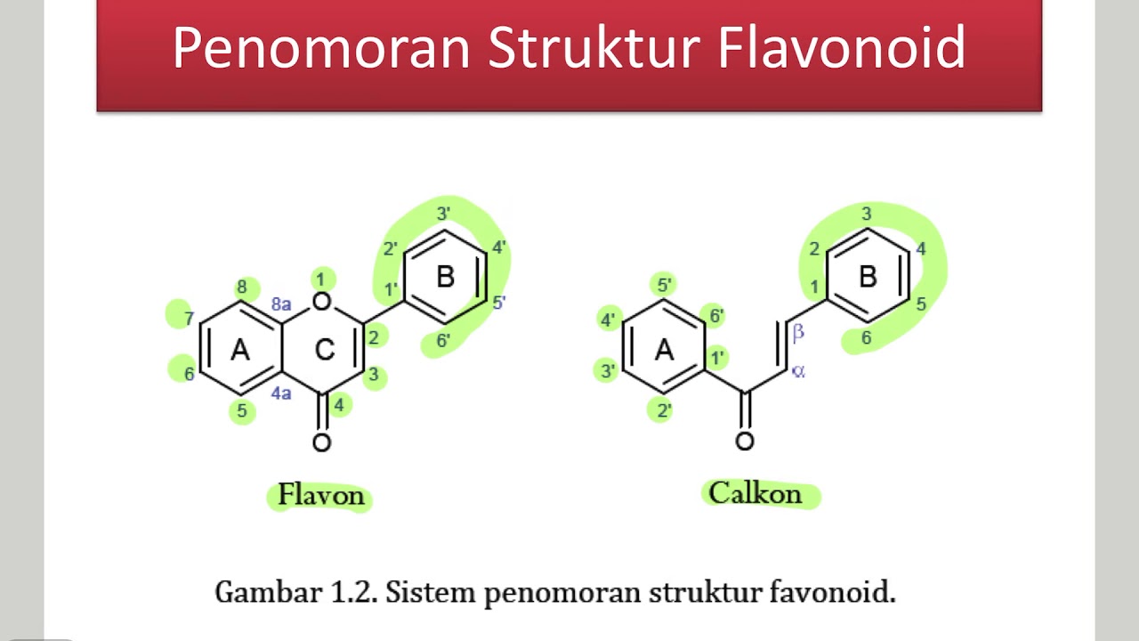 Flavonoid-1