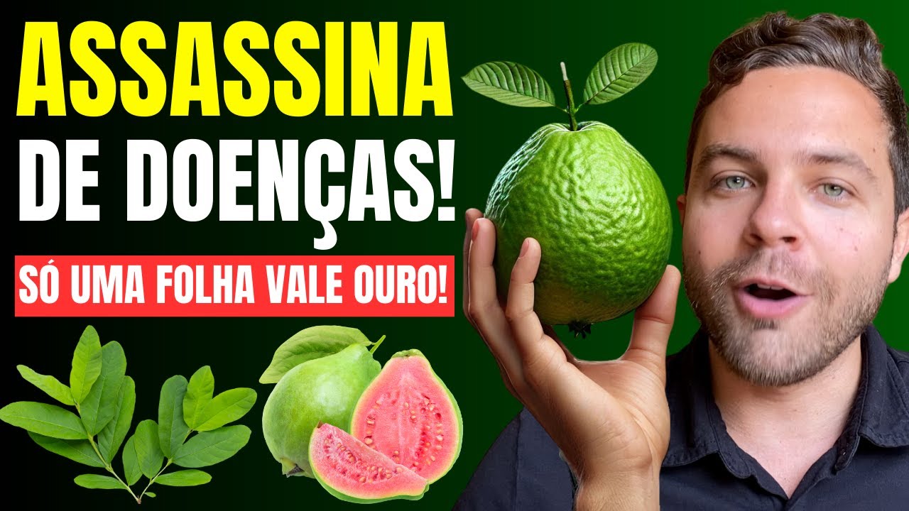 9 DOEN&Ccedil;AS que se CURAM com GOIABA || Para que SERVE a FOLHA DE GOIABA?