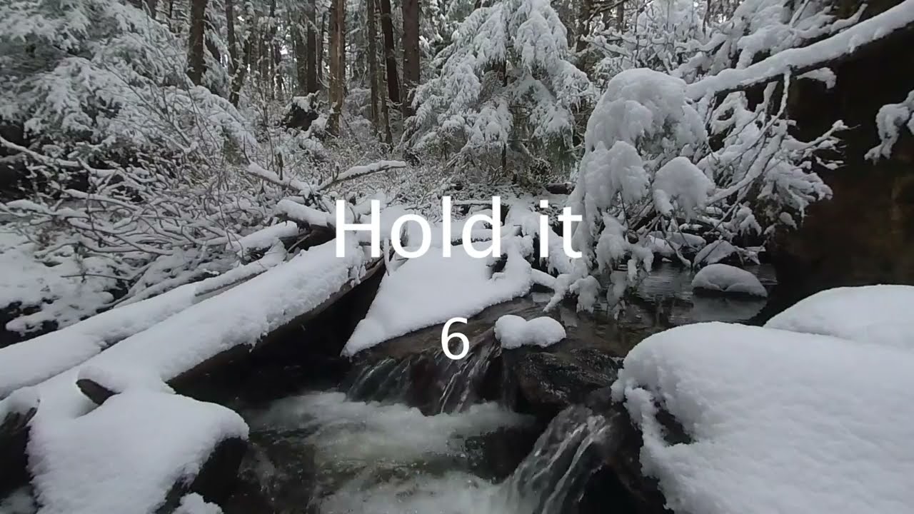 VR180 4-7-8 Breathing Meditation Immersive Nature Video