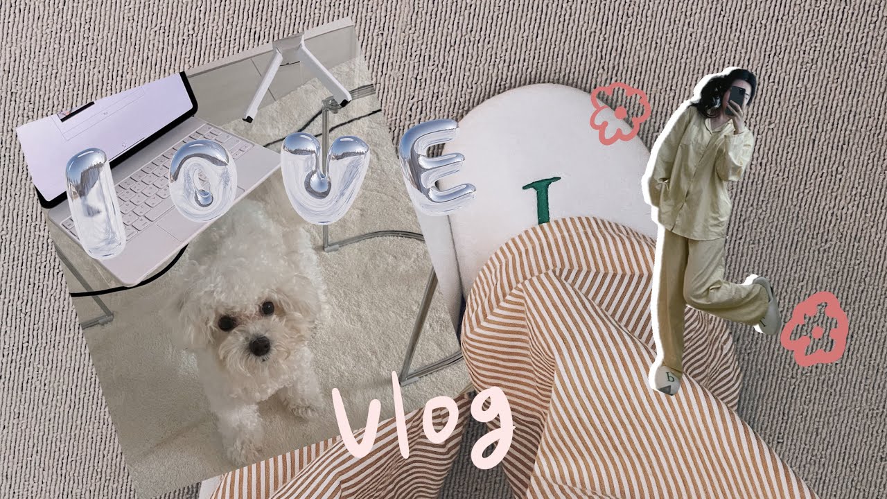 Daiso vlog[임수볶음밥기록]
