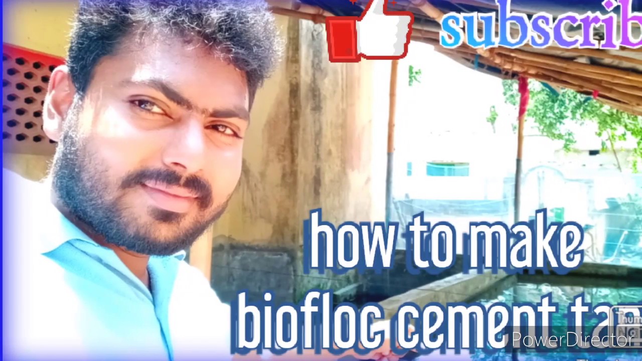 How to make biofloc cement tank 🤔🤔🤔🤔🤔