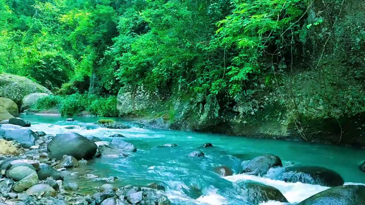 ''''''Healing Nature Ambience, Beautiful Stream Through Green Forest, and Flowing Water