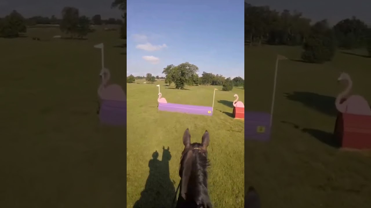 Meagan DeLisle and Chasin Tail, Champagne Run July 2019